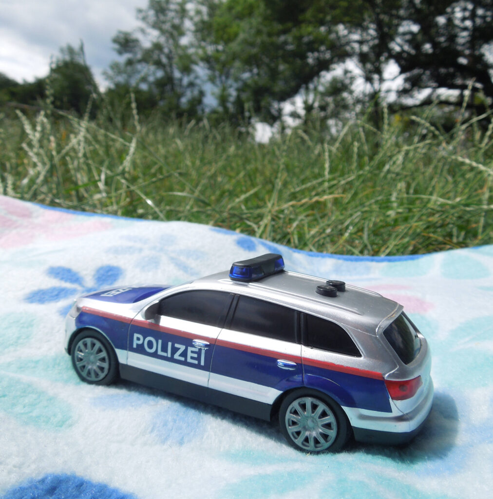 Das Bild zeigt ein Spielzeug Polizeiauto auf einer Picknick Decke in einer Wiese und soll die Anwaltschaftliche Vertretung symbolisieren